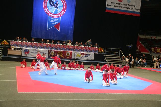 Компания GREVS стала спонсором международного фестиваля боевых искусств «Кубок Балтийского моря»